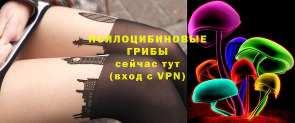 стаф Баксан