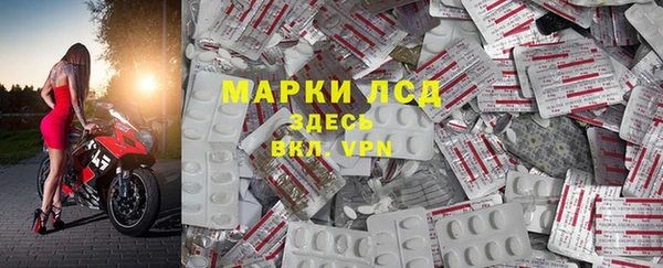 стаф Баксан