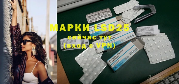 стаф Баксан