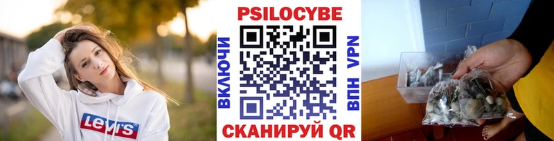 Галлюциногенные грибы Cubensis  Приозерск 